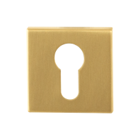 Cylinder rose GPF0902.02P4 50x50x8mm PVD satin brass