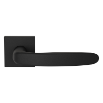 GPF1310.61-02R Taka door handle on rose 50x8mm