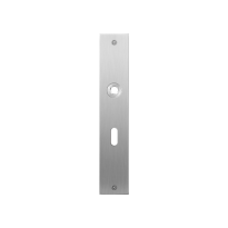 Flat backplate GPF1100.26L/R lock 56 left-/right handed satin stainless steel