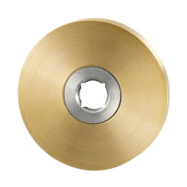Rose GPF1100.00P4L/R 50x8mm PVD brass satin left-/righthanded
