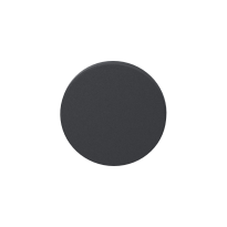 Blind rose GPF0900VRAS 53x6mm anthracite