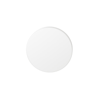 Blind rose GPF6900VW 53x6mm plain white