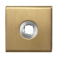 Rose GPF1100.02P4 50x50x8mm PVD brass satin