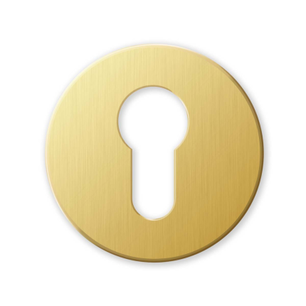 911-by-cylinder-rose-51x6mm-brass-satin