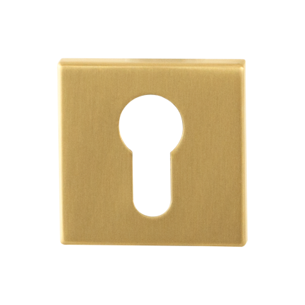 cylinder-rose-gpf0902-02p4-50x50x8mm-pvd-satin-brass