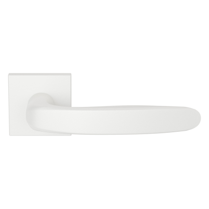 gpf1310-62-02r-taka-door-handle-on-rose-50x8mm