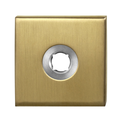 rose-gpf1100-02p4l-50x50x8mm-pvd-brass-satin-lefthanded